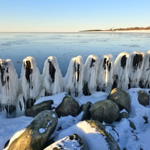 Papes piekrastes koka steķi un laukakmeņi ziemas saulē Papes piekrastes koka steķi un laukakmeņi ziemas saulē