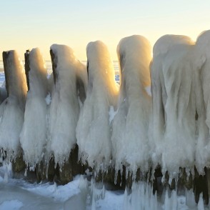 Ziemas saules izgaismotas ledus kolonnas Papes piekrastē Ziemas saules izgaismotas ledus kolonnas Papes piekrastē