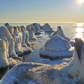 Ledus krāvumi un apledojuši steķi aizsalušajā Papes piekrastē Ledus krāvumi un apledojuši steķi aizsalušajā Papes piekrastē