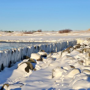Apledojuši vecie koka steķi pie Papes kanāla ziemā Apledojuši vecie koka steķi pie Papes kanāla ziemā