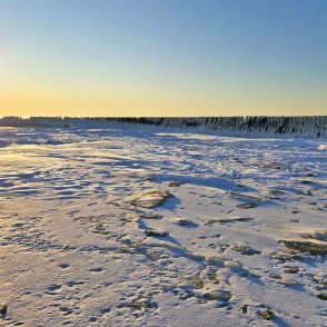 Saulriets virs apledojušajiem Papes koka steķiem ziemā Saulriets virs apledojušajiem Papes koka steķiem ziemā
