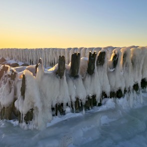 Apledojuši vecie koka steķi pie Papes kanāla saulrieta gaismā Apledojuši vecie koka steķi pie Papes kanāla saulrieta gaismā