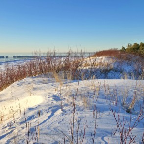 Skats no apsnigušas kāpas uz Baltijas jūru Papes pludmalē Skats no apsnigušas kāpas uz Baltijas jūru Papes pludmalē
