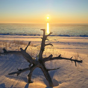 Saulriets virs Baltijas jūras ar koka sakni priekšplānā Saulriets virs Baltijas jūras ar koka sakni priekšplānā