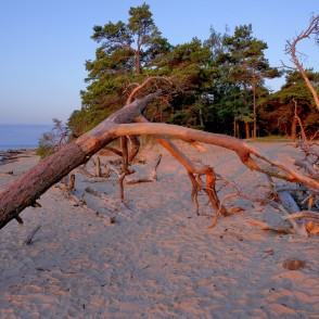 Kolkasraga pludmale saullēktā Kolkasraga pludmale saullēktā
