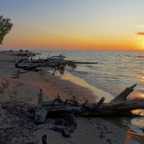 Saullēkts Kolkasragā un kritušie koki Saullēkts Kolkasragā un kritušie koki