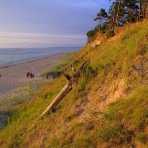 Jūrkalnes stāvkrasts vakara gaismā Jūrkalnes stāvkrasts vakara gaismā