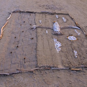 Kaijas tēla improvizācija pludmalē Kaijas tēla improvizācija pludmalē