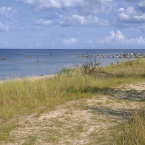 Jūra pie Kaltenes, Kaltenes putnu taka Jūra pie Kaltenes, Kaltenes putnu taka