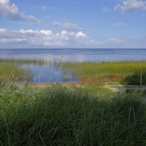 Jūra pie Kaltenes, Kaltenes putnu taka Jūra pie Kaltenes, Kaltenes putnu taka
