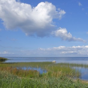 Jūras ainava pie Kaltenes, Kaltenes putnu taka Jūras ainava pie Kaltenes, Kaltenes putnu taka