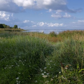 Jūras ainava pie Kaltenes, Kaltenes putnu taka Jūras ainava pie Kaltenes, Kaltenes putnu taka