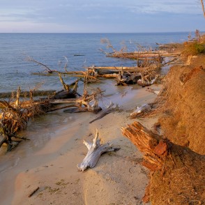 Kolkasraga piekraste rīta gaismā Kolkasraga piekraste rīta gaismā