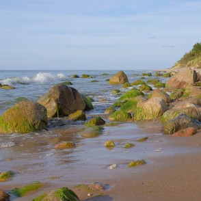 Ar aļģēm apauguši akmeņi Ar aļģēm apauguši akmeņi