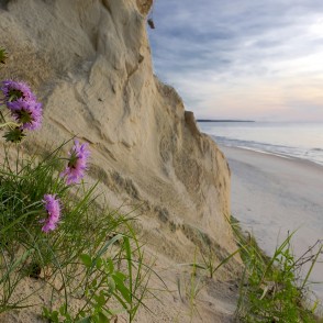 Stāvkrasts un ziedi Stāvkrasts un ziedi