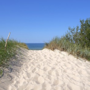 Sandy Path Through Dunes with a View of the Sea Sandy Path Through Dunes with a View of the Sea