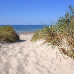 Sand Dunes with a Path to the Beach and Sea Horizon Sand Dunes with a Path to the Beach and Sea Horizon