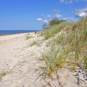 Sandy Beach with Dunes and Coastal Vegetation Sandy Beach with Dunes and Coastal Vegetation