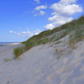 Sandy dunes with beach grass along the Baltic Sea coast Sandy dunes with beach grass along the Baltic Sea coast