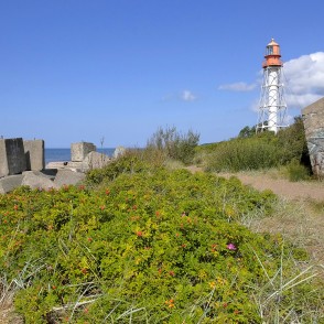 Papes bāka pie Baltijas jūras ar betona krasta aizsardzību un piekrastes veģetāciju Papes bāka pie Baltijas jūras ar betona krasta aizsardzību un piekrastes veģetāciju