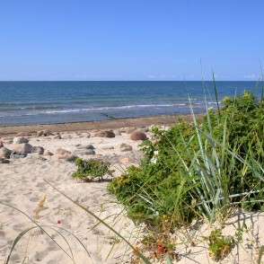 Smilšaina Papes pludmale ar akmeņiem un piekrastes veģetāciju Smilšaina Papes pludmale ar akmeņiem un piekrastes veģetāciju