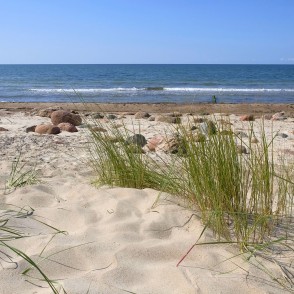 Smilšaina Baltijas jūras piekraste ar zāli un akmeņiem Smilšaina Baltijas jūras piekraste ar zāli un akmeņiem