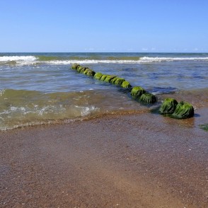 Ar aļģēm apaugušu koka mola paliekas pie Papes bākas Ar aļģēm apaugušu koka mola paliekas pie Papes bākas