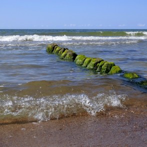 Koka mola paliekas viļņos pie smilšainas Baltijas jūras pludmales Koka mola paliekas viļņos pie smilšainas Baltijas jūras pludmales