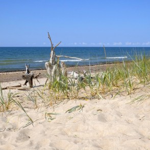 Smilšu kāpas un izskaloti koku stumbri Papes pludmalē pie Baltijas jūras Smilšu kāpas un izskaloti koku stumbri Papes pludmalē pie Baltijas jūras