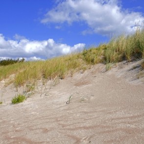 Smilšu kāpas ar piekrastes zāli zem zilām debesīm Papes pludmalē Smilšu kāpas ar piekrastes zāli zem zilām debesīm Papes pludmalē