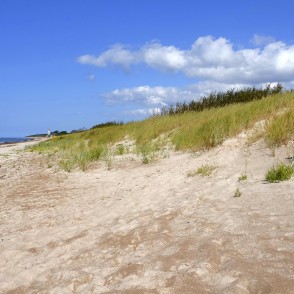 Papes pludmales kāpas ar bāku fonā Papes pludmales kāpas ar bāku fonā