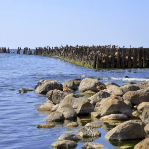 Vecie koka steķi Papē ar putniem pie Baltijas jūras krasta Vecie koka steķi Papē ar putniem pie Baltijas jūras krasta