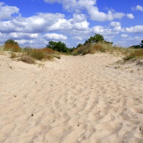 Smilšaina taka starp piekrastes kāpām zem zilām debesīm Smilšaina taka starp piekrastes kāpām zem zilām debesīm