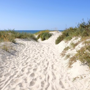 Taka uz Bernātu pludmali caur baltām kāpām Taka uz Bernātu pludmali caur baltām kāpām