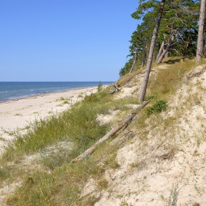 Stāvkrasts ar priedēm un smilšu pludmali Bernātu piekrastē Stāvkrasts ar priedēm un smilšu pludmali Bernātu piekrastē