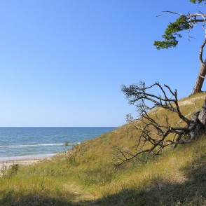 Stāvkrasts ar vientuļu priedi un skatu uz jūru Bernātu pludmalē Stāvkrasts ar vientuļu priedi un skatu uz jūru Bernātu pludmalē