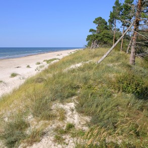 Piejūras kāpas ar priedēm un plašu smilšainu pludmali Bernātos Piejūras kāpas ar priedēm un plašu smilšainu pludmali Bernātos