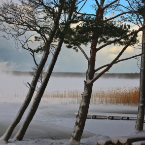 Putenis Būšnieku ezerā Putenis Būšnieku ezerā