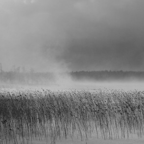Putenis Būšnieku ezerā Putenis Būšnieku ezerā
