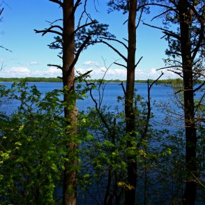 Pie Rāznas ezera Pie Rāznas ezera