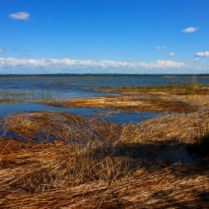 Rāznas ezera ainava Rāznas ezera ainava