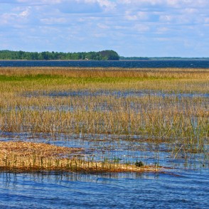 Rāznas ezera ainava Rāznas ezera ainava