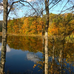 Tartaka ezers rudenī Tartaka ezers rudenī