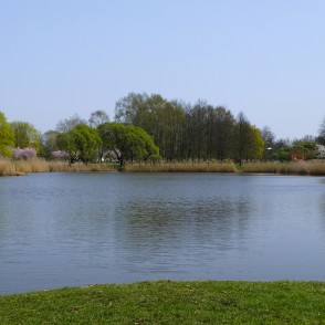 Uzvaras parka dīķis Uzvaras parka dīķis