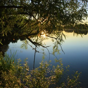 Tērvetes ūdenskrātuve (Gulbju dīķis) Tērvetes ūdenskrātuve (Gulbju dīķis)