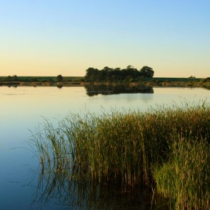 Tērvetes ūdenskrātuves (Gulbju dīķis) panorāma Tērvetes ūdenskrātuves (Gulbju dīķis) panorāma