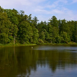 Kazdangas Dzirnavu dīķis Kazdangas Dzirnavu dīķis