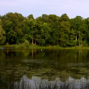 Kazdangas Dzirnavu dīķis Kazdangas Dzirnavu dīķis