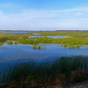 Lubānas ezera panorāma Lubānas ezera panorāma