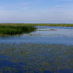 Lubānas ezera panorāma Lubānas ezera panorāma